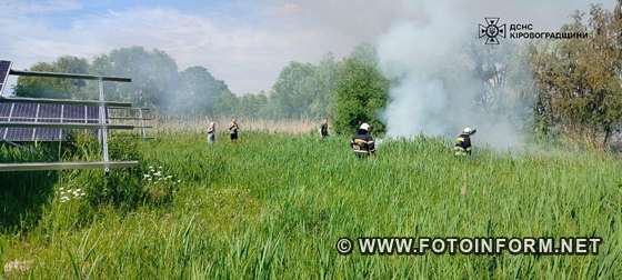 На Кіровоградщині під час гасіння пожежі очерету виявили тіло загиблого чоловіка (ФОТО)