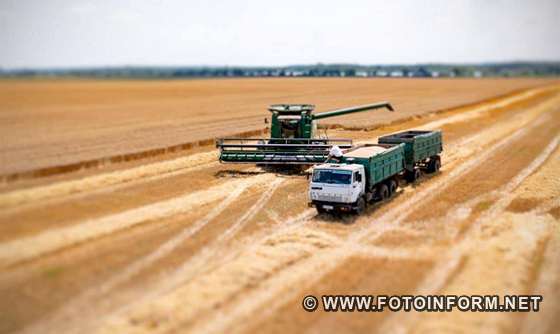 Аграрії Кіровоградщини завершують хлібні жнива (ФОТО)