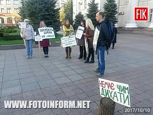 Громадські активісти прийшли до Кіровоградської міськради, щоб привернути увагу до дозволу, який міська рада дає на вирубку 30 дерев біля «Пам’ятника Сівалці»